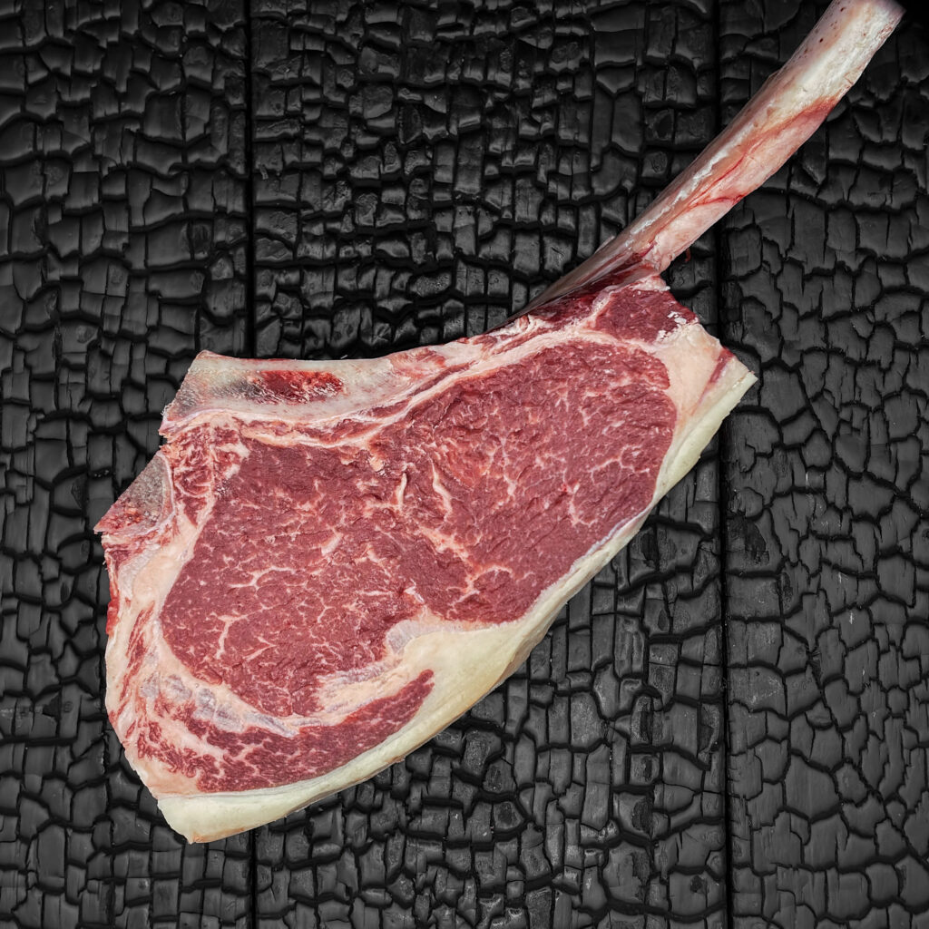 Rohes Tomahawk-Steak vom Rind mit langem Knochen, gute Marmorierung, rote Farbe mit weißem Fettrand, auf dunkler, verkohlter Holzoberfläche.