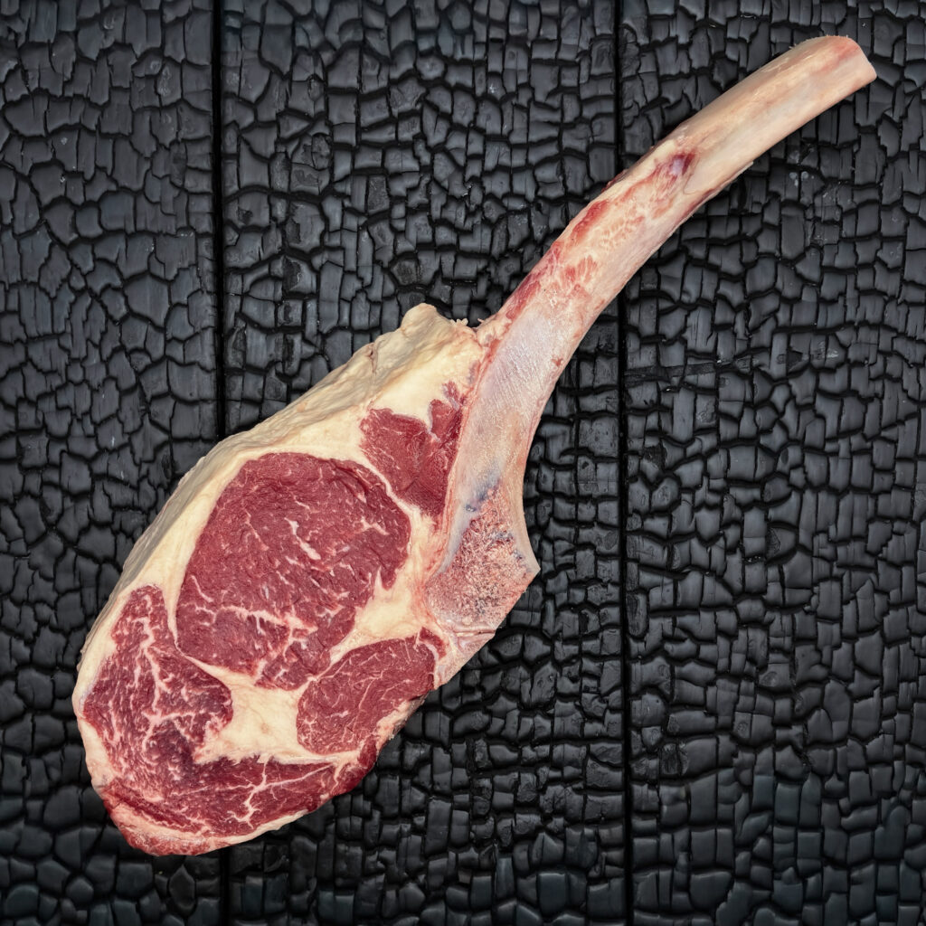 Rohes Tomahawk-Steak vom Rind mit langem Knochen, feine Marmorierung, rote Farbe mit weißem Fettrand, auf dunkler, verkohlter Holzoberfläche.
