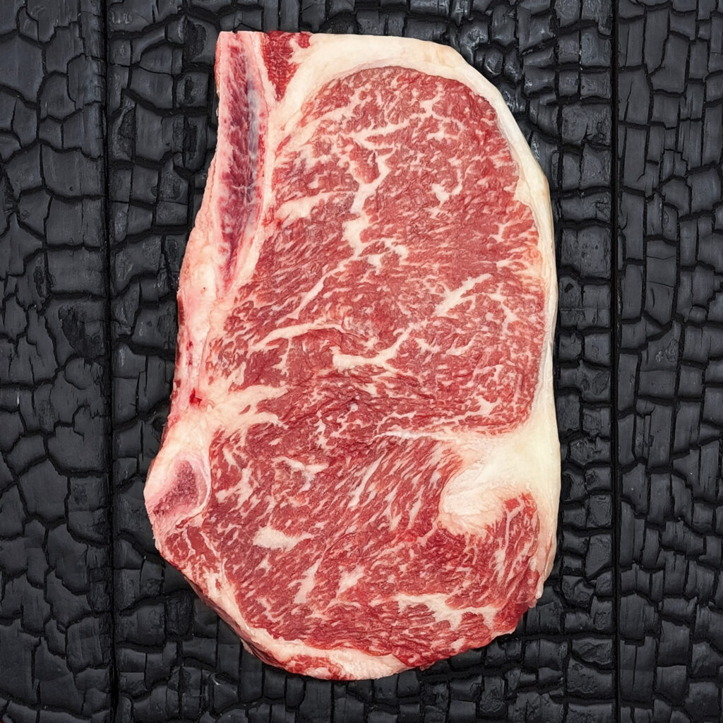 Rohes Club Steak mit Knochen vom Wagyu-Kreuzungsrind, ausgeprägt marmoriert, rote Farbe mit hellem Fettrand, mittig auf dunkler, verkohlter Holzoberfläche.