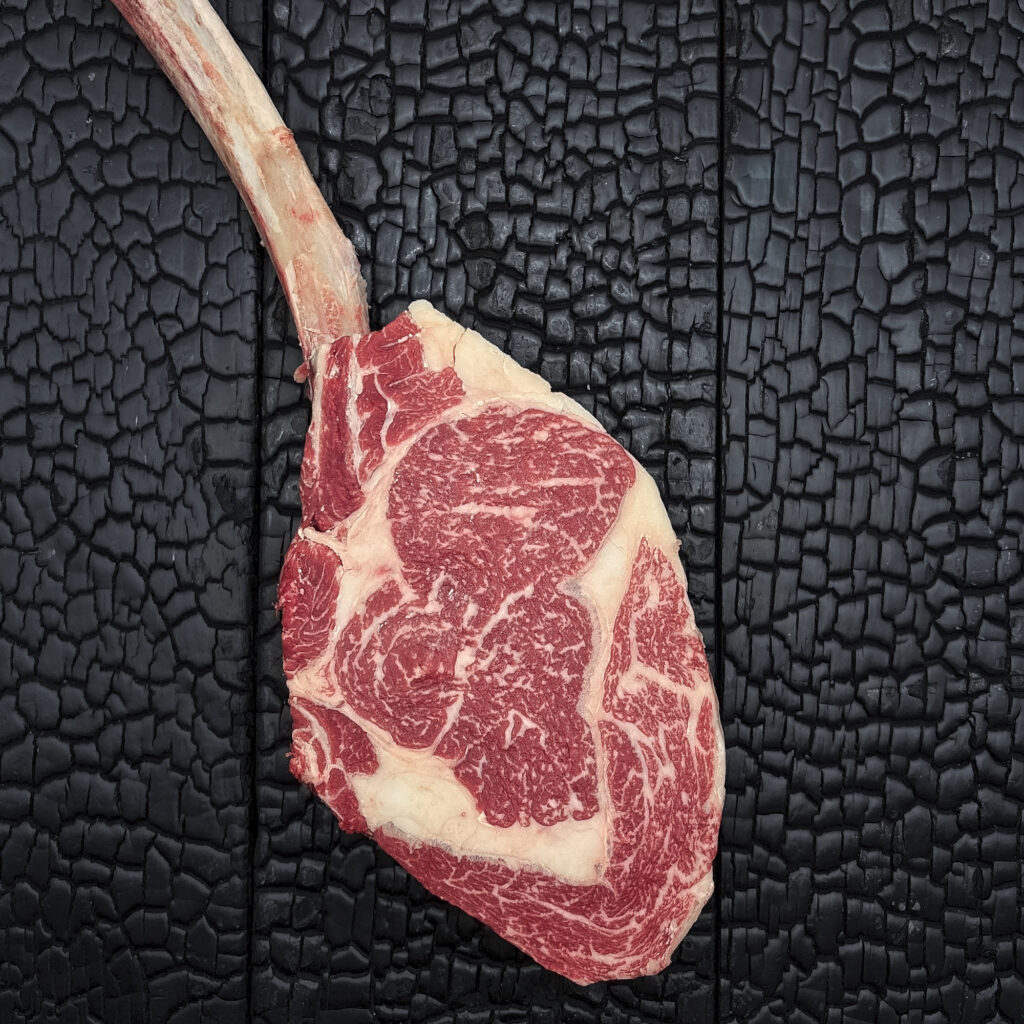 Rohes Tomahawk-Steak mit langem Knochen vom Wagyu-Kreuzungsrind, ausgeprägte Marmorierung, rote Farbe mit weißem Fettrand, auf dunkler, verkohlter Holzoberfläche.