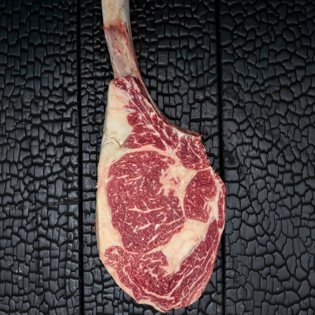 Rohes Tomahawk-Steak mit langem Knochen vom Wagyu-Kreuzungsrind, gute Marmorierung, rote Farbe mit weißem Fettrand, auf dunkler, verkohlter Holzoberfläche.